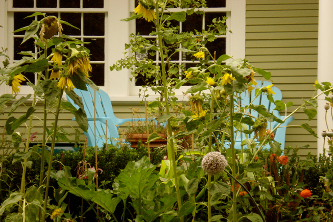 Child Friendly Garden